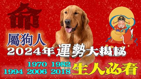 2023屬狗運勢1970|属狗1970年出生的人2023年全年运程运势